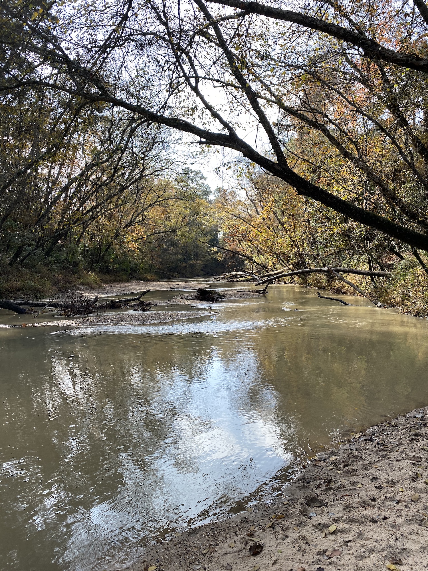 Lake Houston Wilderness Park Htx Travelers