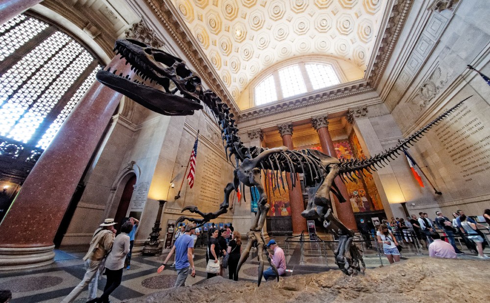American Museum Of Natural History Will Reverse Pay What You Wish Admission Upon Reopening