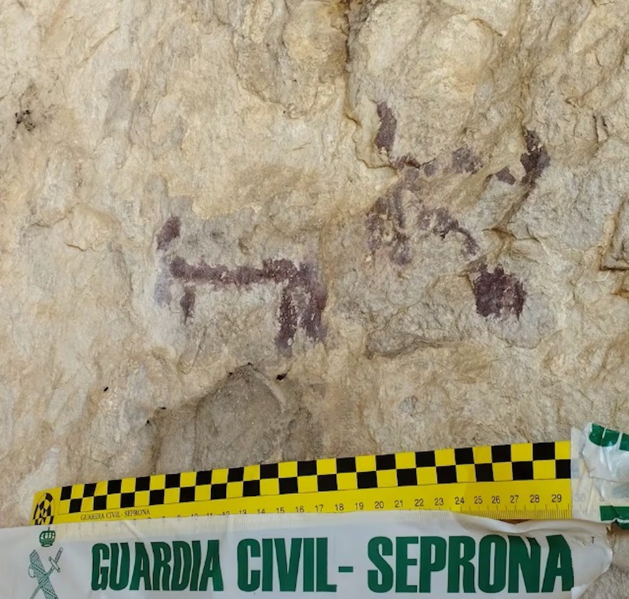 Spanish Man Under Investigation for Pouring Water on Ancient Cave Art