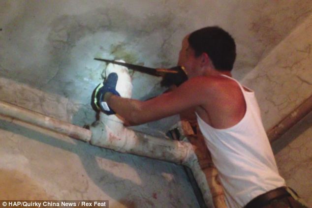 The firefighters worked quickly to dismantle the pipe and rescue the trapped youngster, who was heard wailing