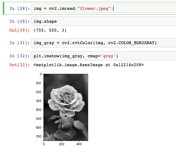 Read Display And Save Image Files Using Python Opencv Convert Color 