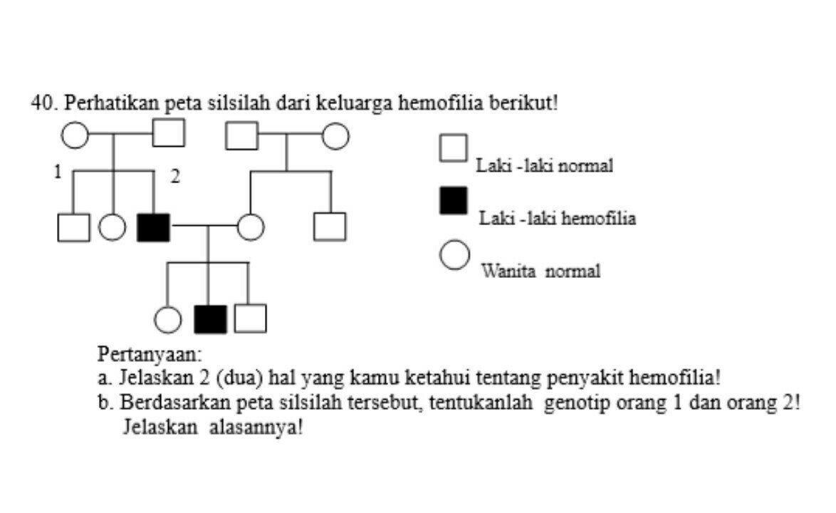 Contoh Soal Peta Silsilah Buta Warna Otosection