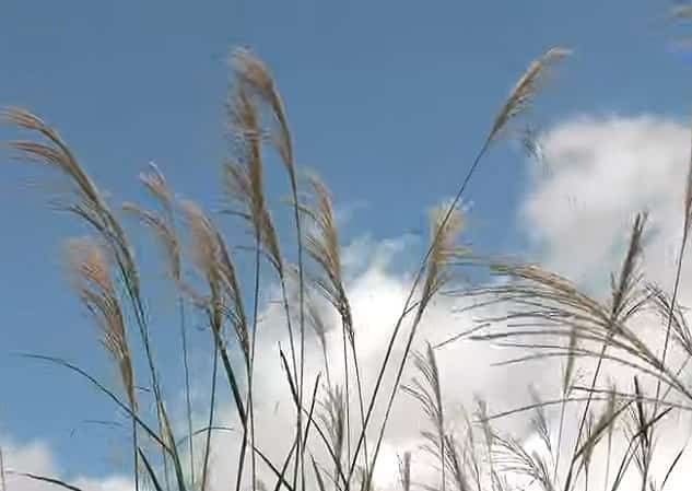 気象庁が定義する秋