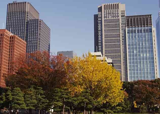 都会の秋景色の写真