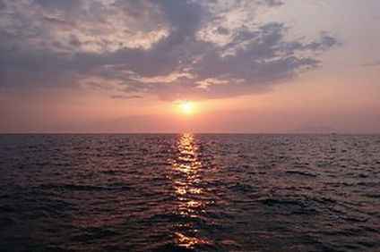 年越しに独身男性におすすめのイベントと開催場所