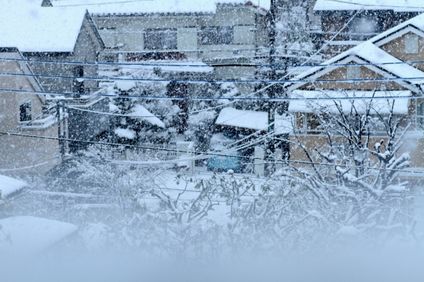 積雪量