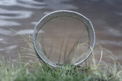 川エビの捕獲の仕方 仕掛けと場所はどこ 服装や時期はいつかも伝授 井戸端会議 川エビの捕獲の仕方 仕掛けと場所はどこ 服装や時期はいつかも伝授 井戸端会議