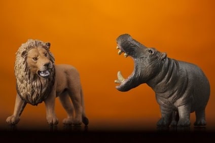 ライオンの天敵のカバが襲う理由