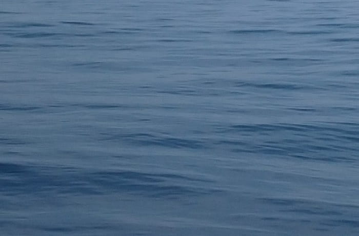 風速1m(ミリメートル)とはどのくらいの威力