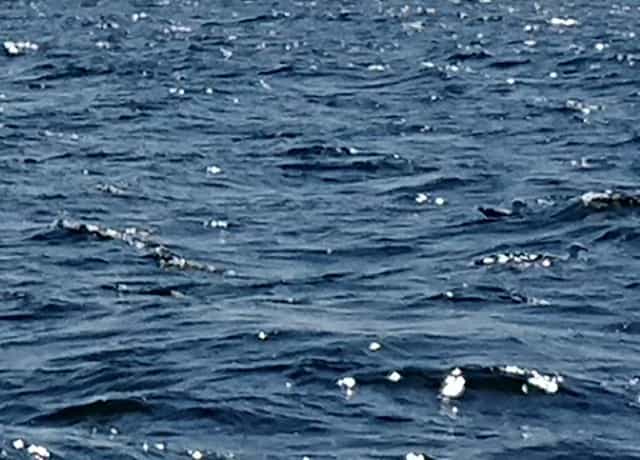 風速6m(メートル)とはどのくらいの威力