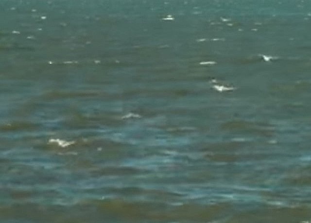 風速6メートルとはどのくらい