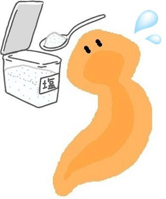 プラナリアを塩で退治するやり方