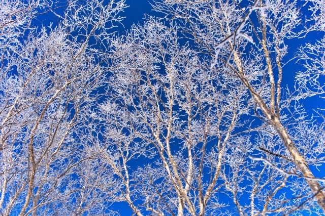 マイナス20度の世界