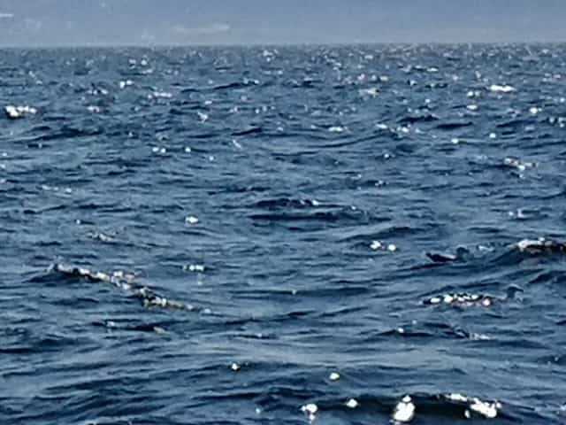 風が吹き始めた海