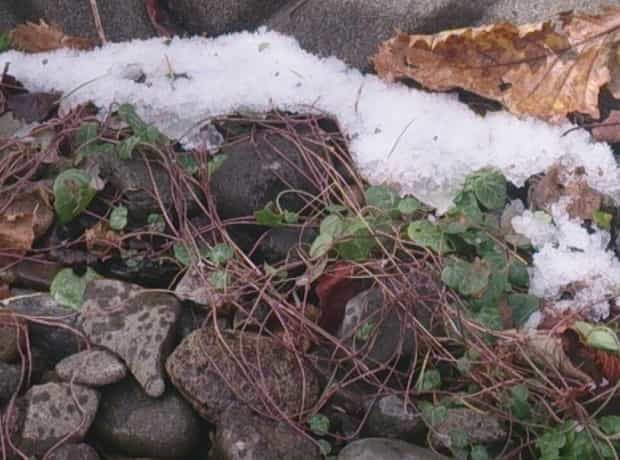 降水量が雪の場合は算出が難しい理由