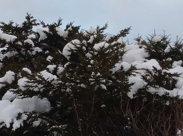 降水量1mmの雪が24時間降るとどのくらい積もる?