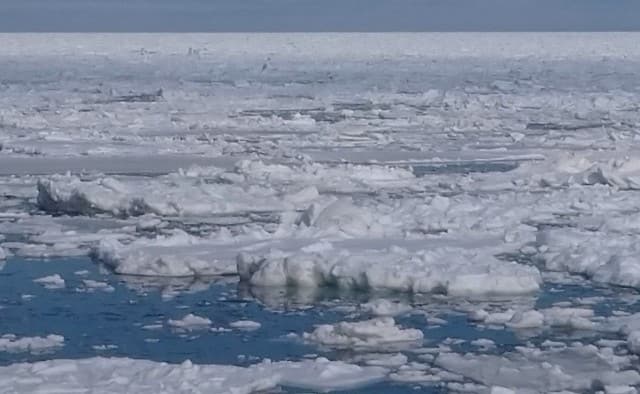 流氷はどこから北海道にくるの?