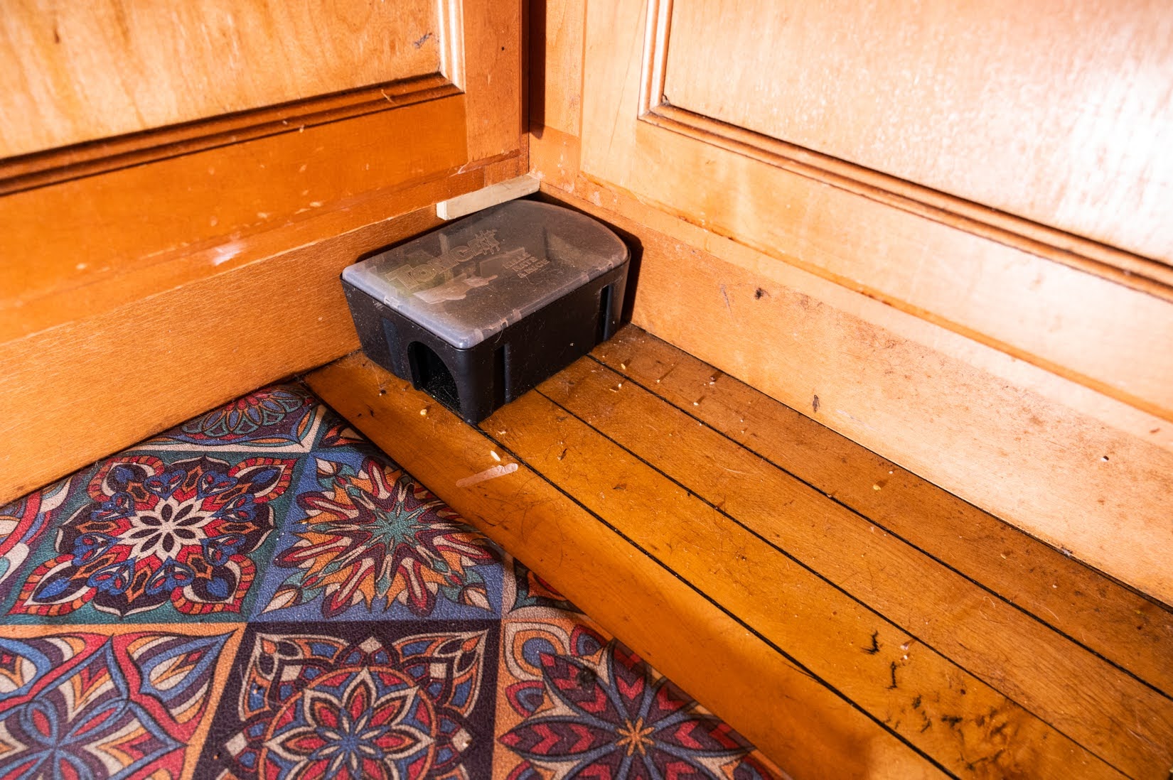 A rat trap sits under Ukrainian Village resident Liz Murray’s kitchen sink on April 28. (Credit: Colin Boyle/Block Club Chicago)
