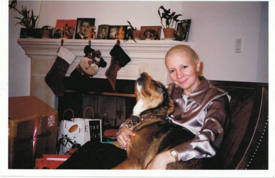 About Family Dog Rescue San Francisco Ca Dog Human Family