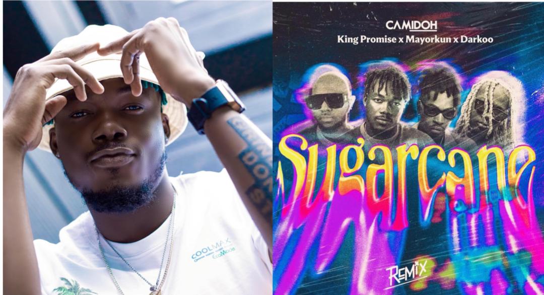 Camidoh Sugarcane Remix Mp3 Download I Love Zed Music