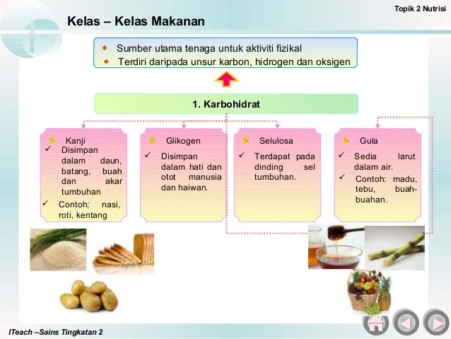 Sains Tingkatan 2 Bab 3 Nutrisi 3 1 Kelas Makanan  Bila Rasa