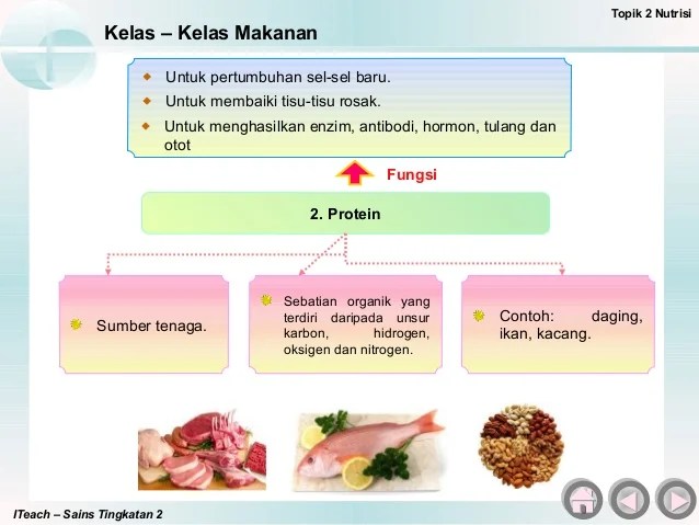 Sains Tingkatan 2 Bab 3 Nutrisi 3 1 Kelas Makanan  Bila Rasa