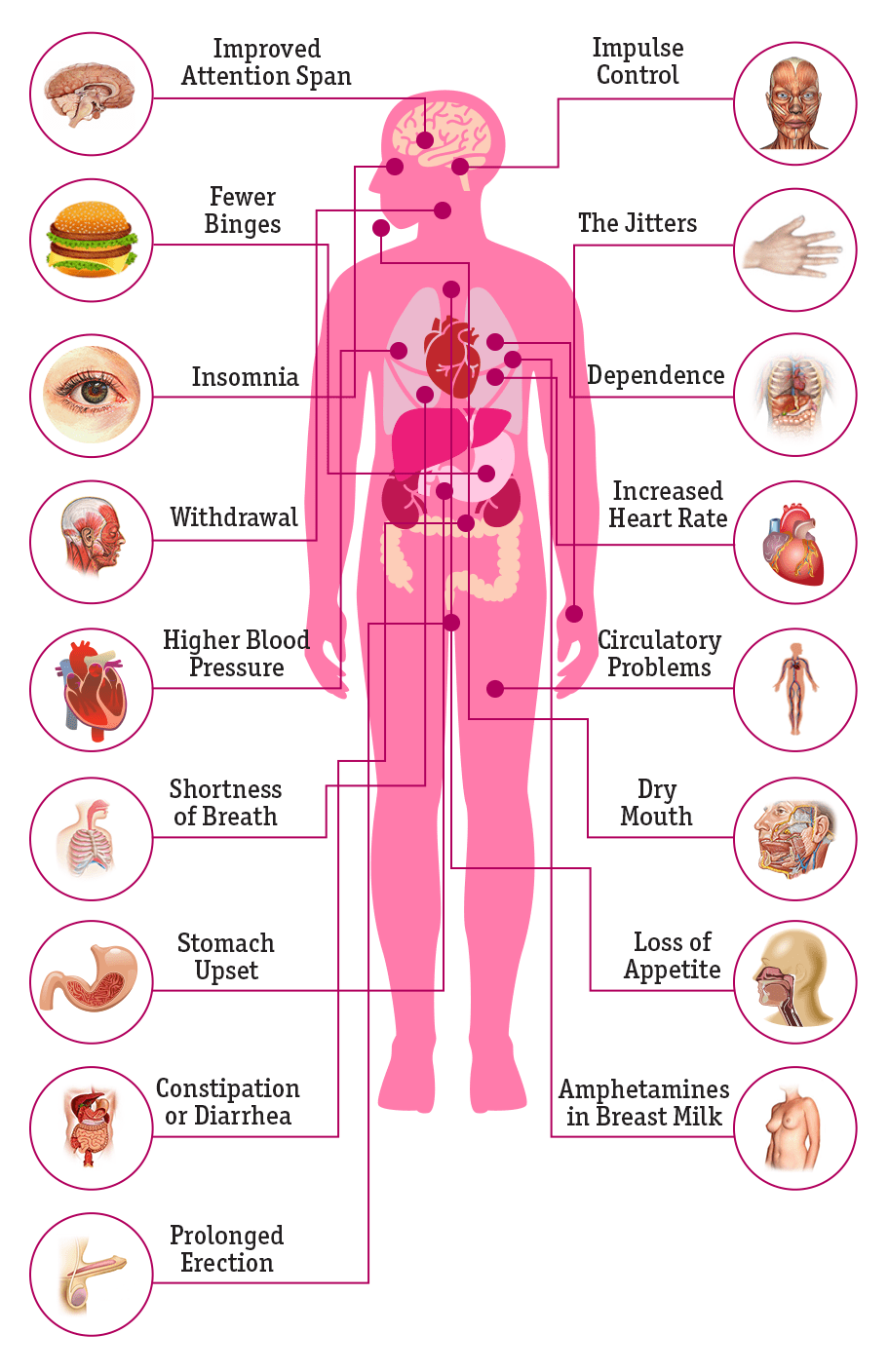 The Effects Of Vyvanse On The Body