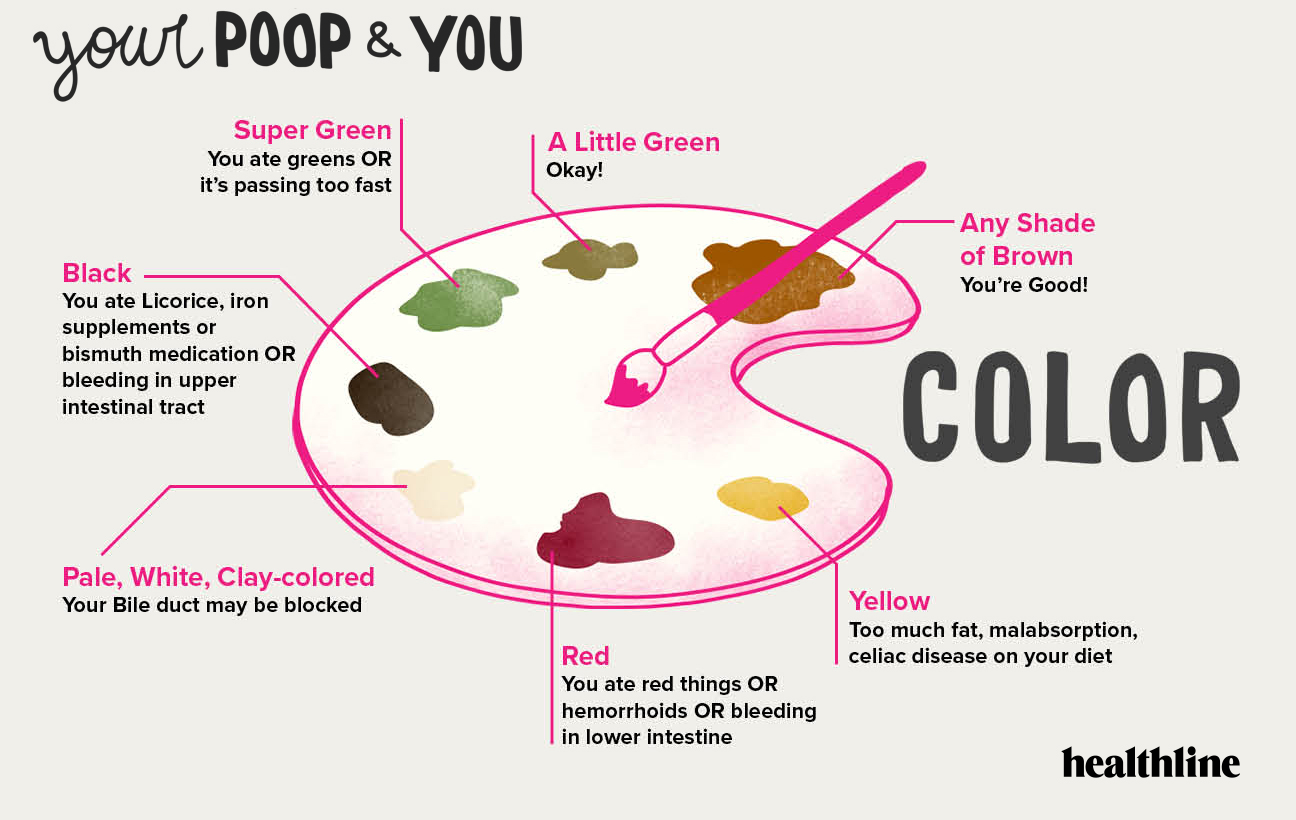 Identifying Types Of Poop With The Bristol Stool Chart And More