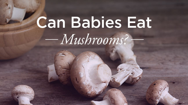 Can Babies Eat Mushrooms