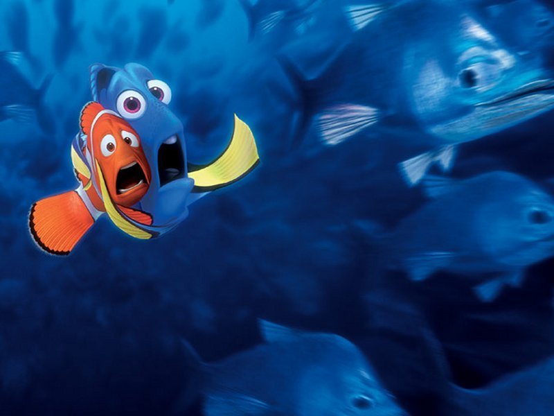 Are Dory and Marlin in love?