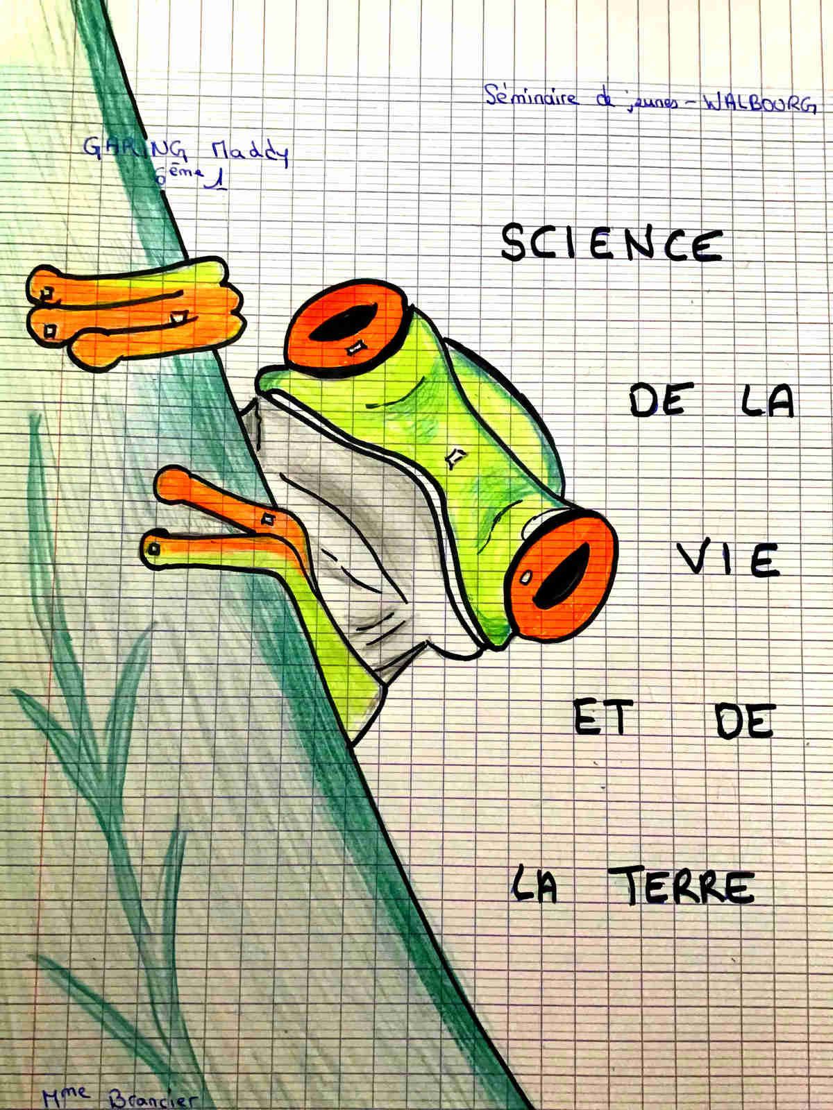 Page De Garde Cahier Svt A Colorier presentation page svt