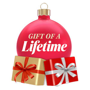 Lifetime Announces Gift Of A Lifetime As Part Of Lifetime S Commitment To Supporting And Empowering Women