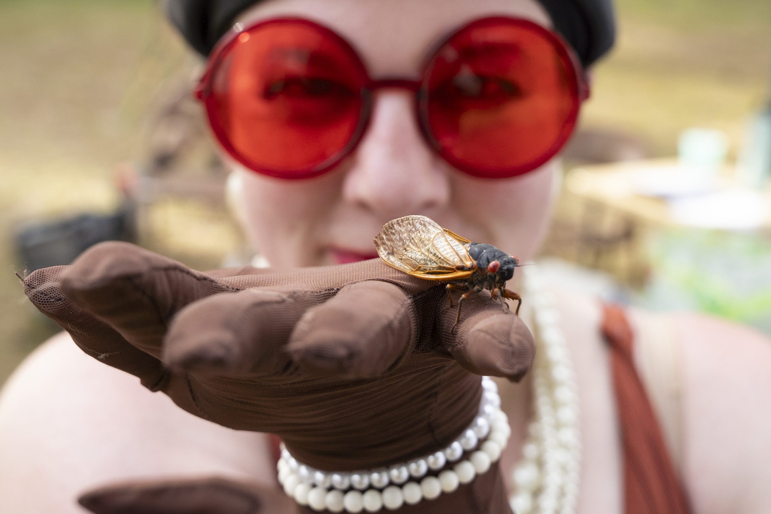 Photo Essay: At Annual Beaver Queen Pageant, Woody Wonka Takes Crown