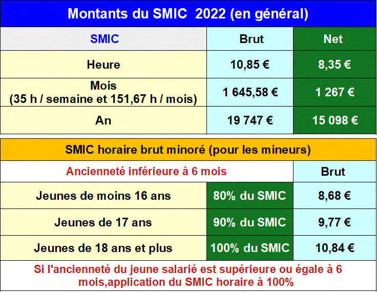Le Salaire Minimum De Croissance Smic Info Handicap