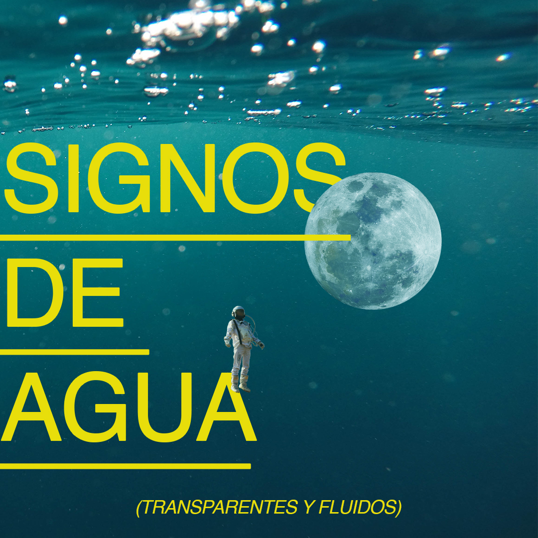 Todo Lo Que Necesitas Saber De Los Signos De Agua