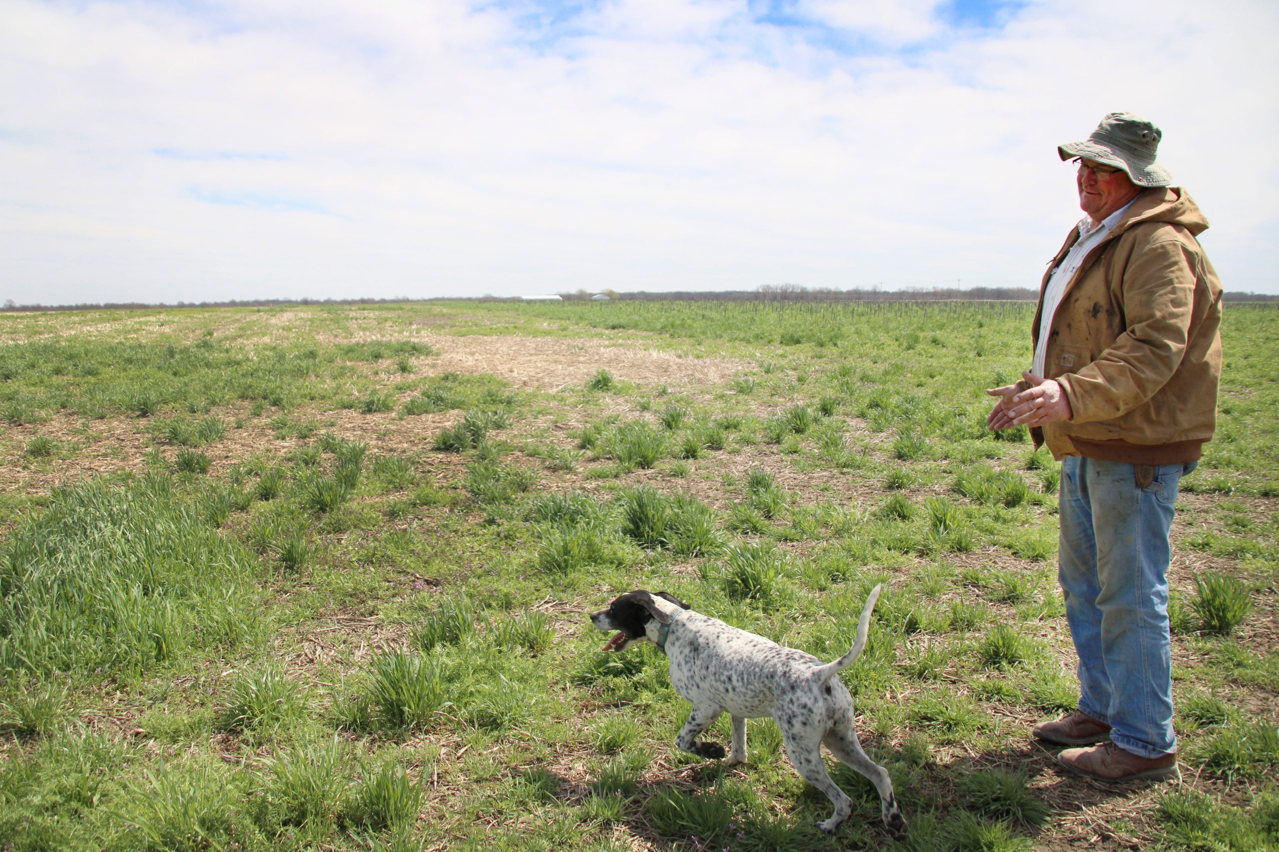 Millets — ancient drought-resistant grains — could help the Midwest survive climate change