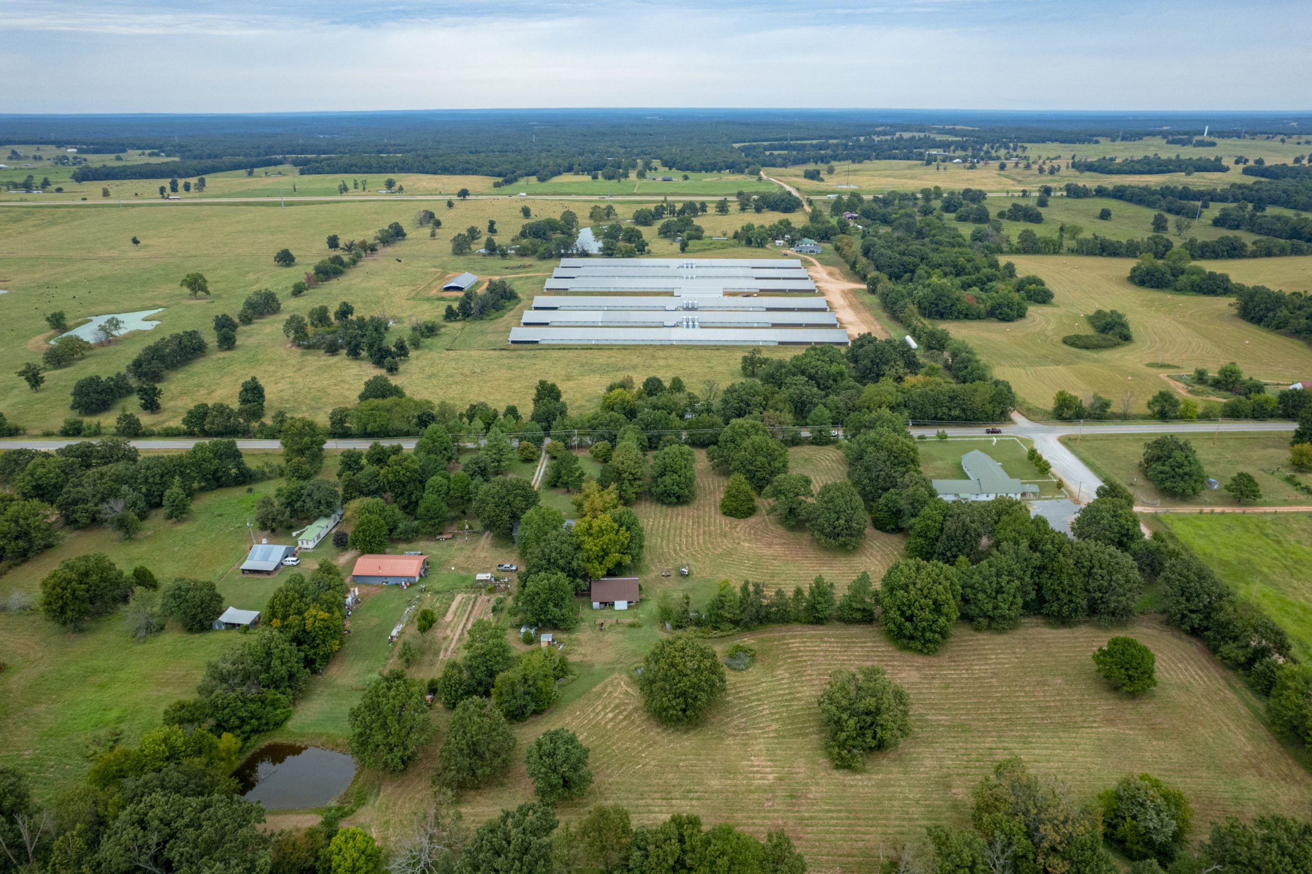 Oklahoma governor signs bill shielding poultry companies from lawsuits over chicken litter pollution