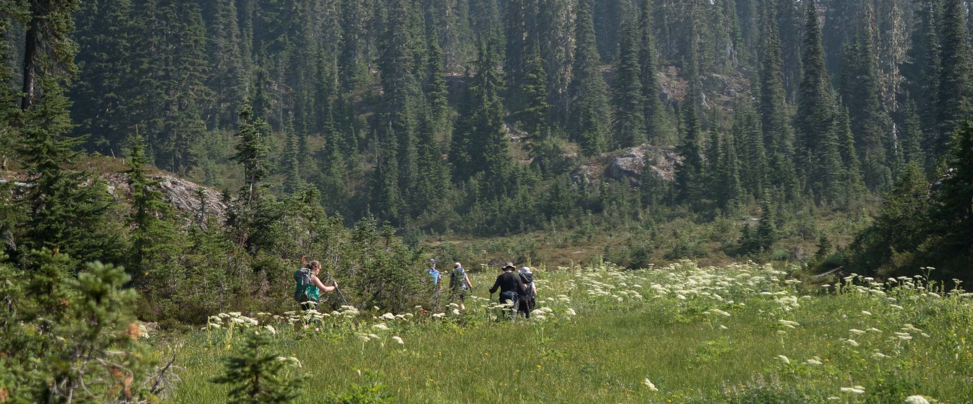 Arnica Lake Archives Island Mountain Ramblers