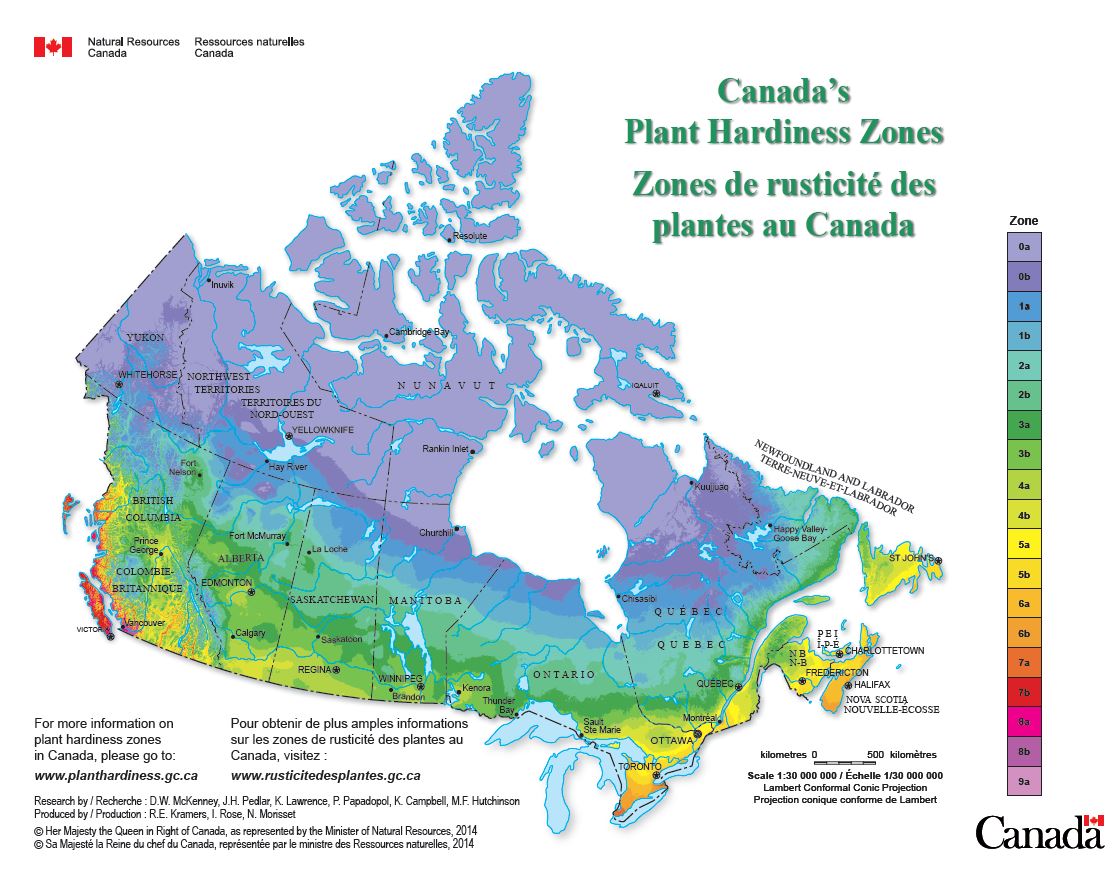 Comprendre Les Zones De Rusticite Jardinier Paresseux