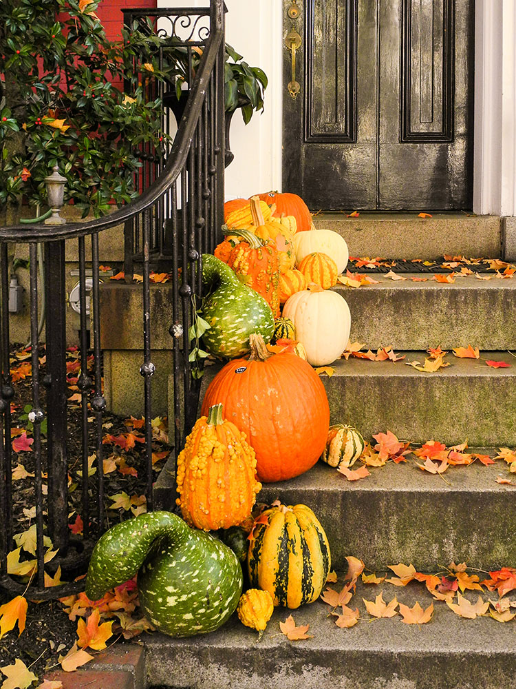 7 Front Porch Decor Ideas From A Stylist To Inspire You For Fall