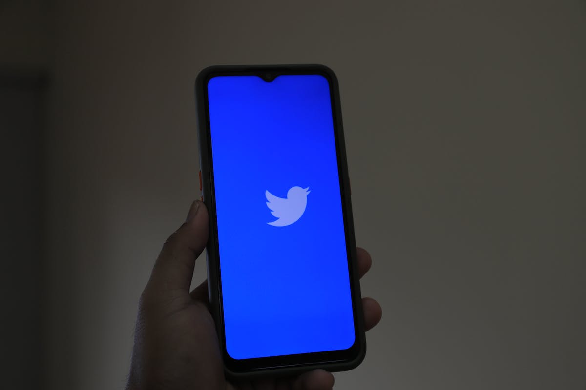 Como baixar vídeos do Twitter? 6 ferramentas práticas e gratuitas bem avaliadas na web