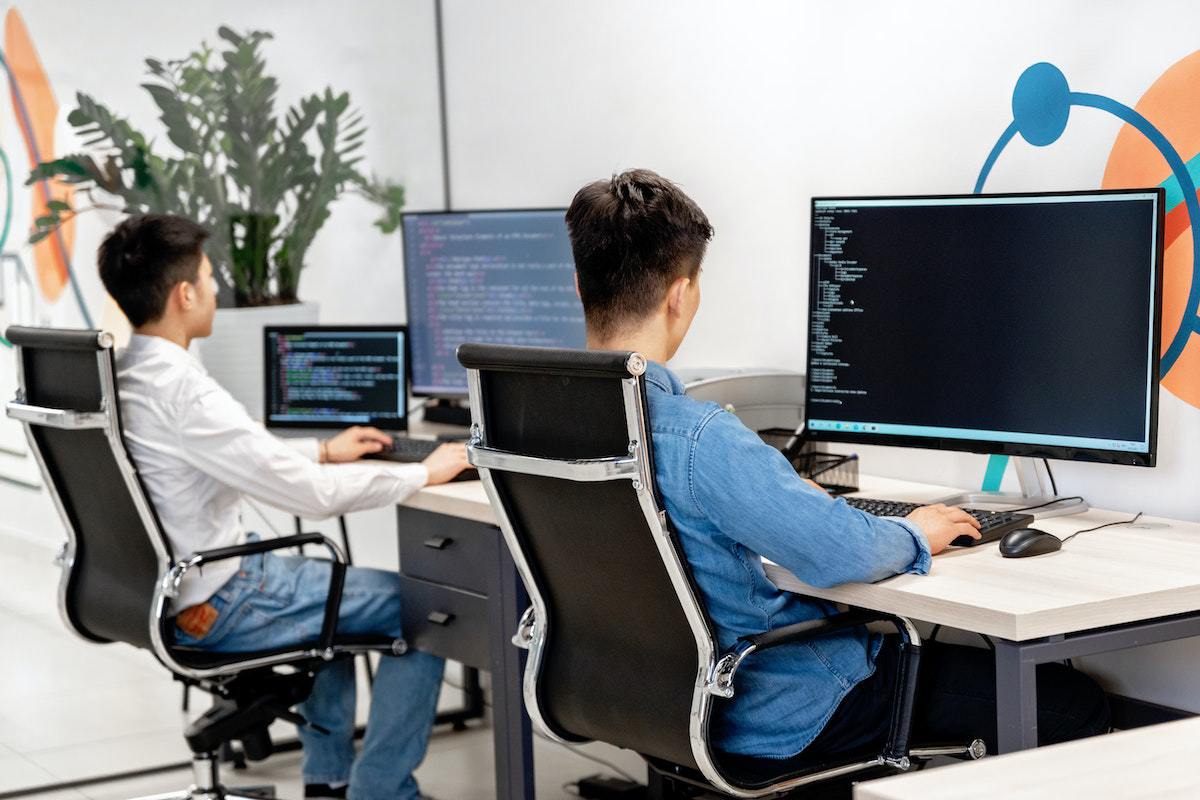 duas pessoas trabalhando em seus computadores, lado a lado