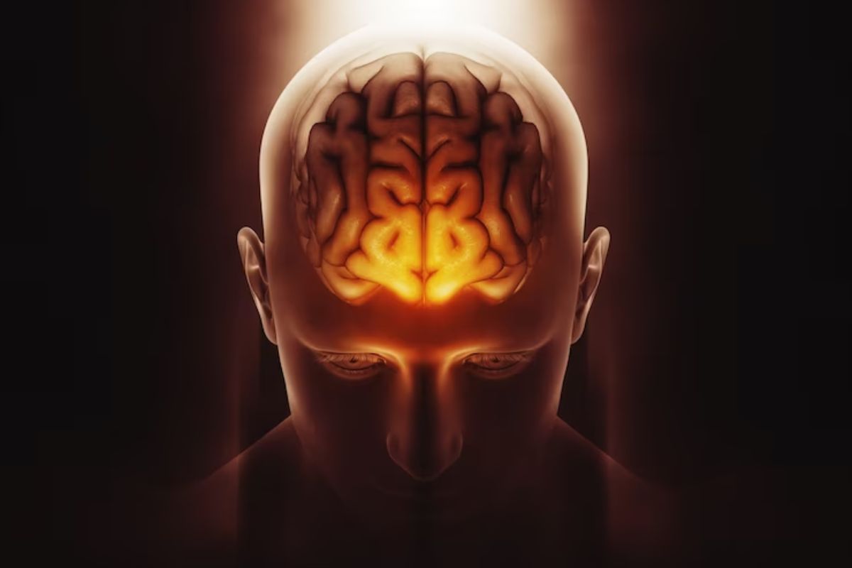 Cérebro: Programação neurolinguística Montagem com personagem parecido com ser humano e cérebro com destaque como se estivesse aceso