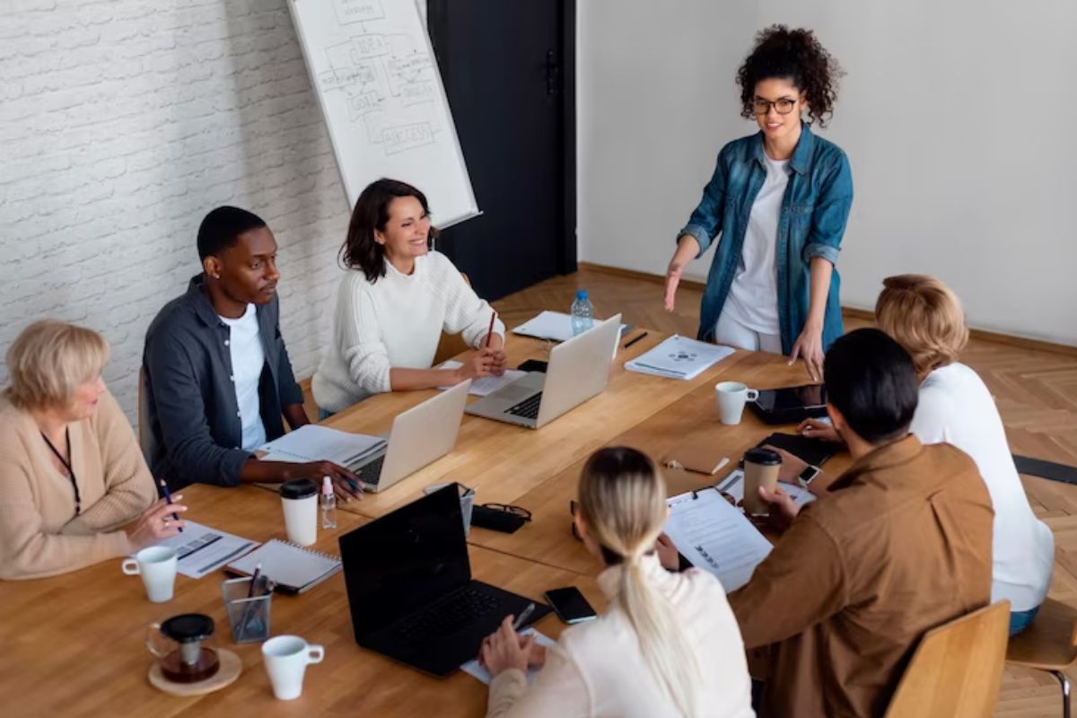 organização organização