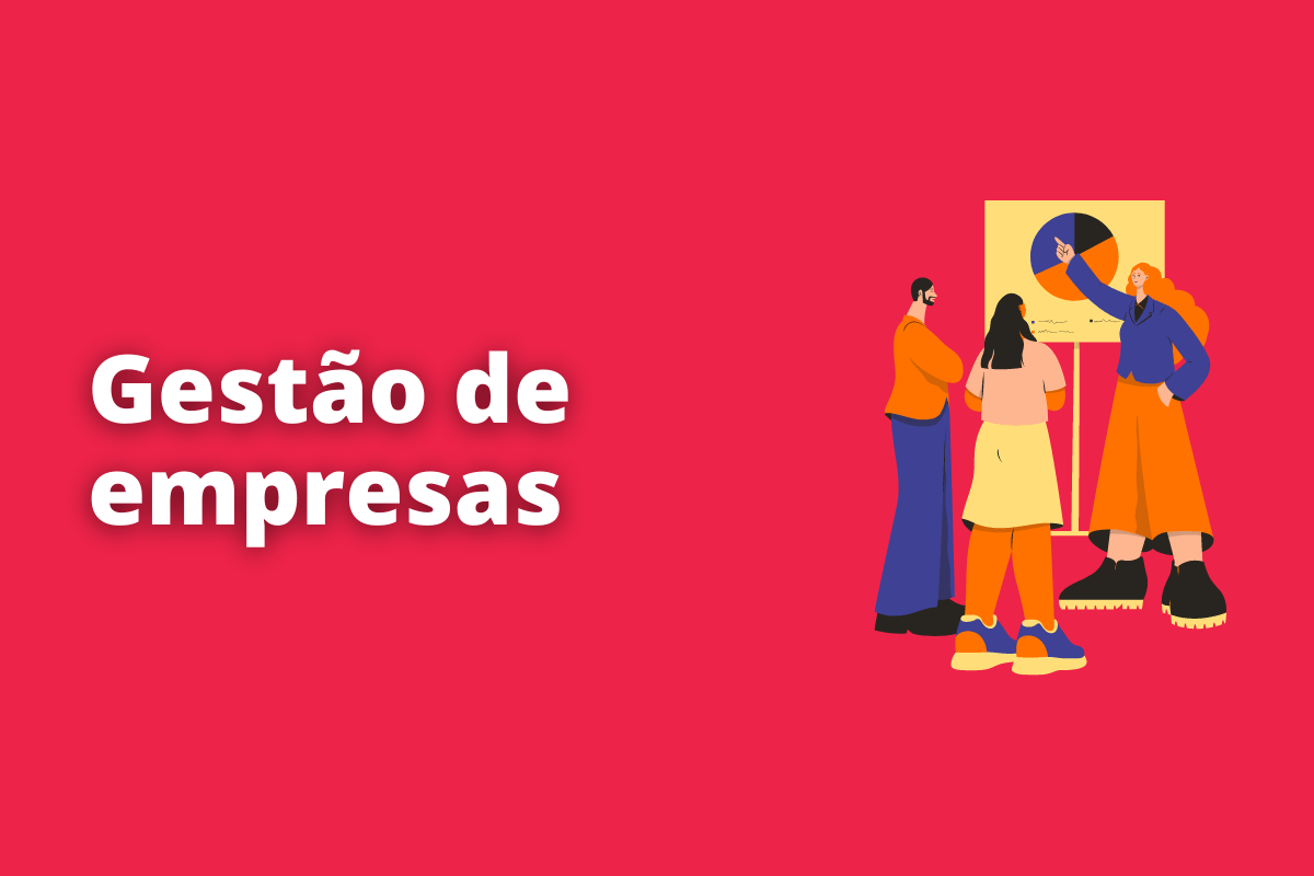gestão de empresas