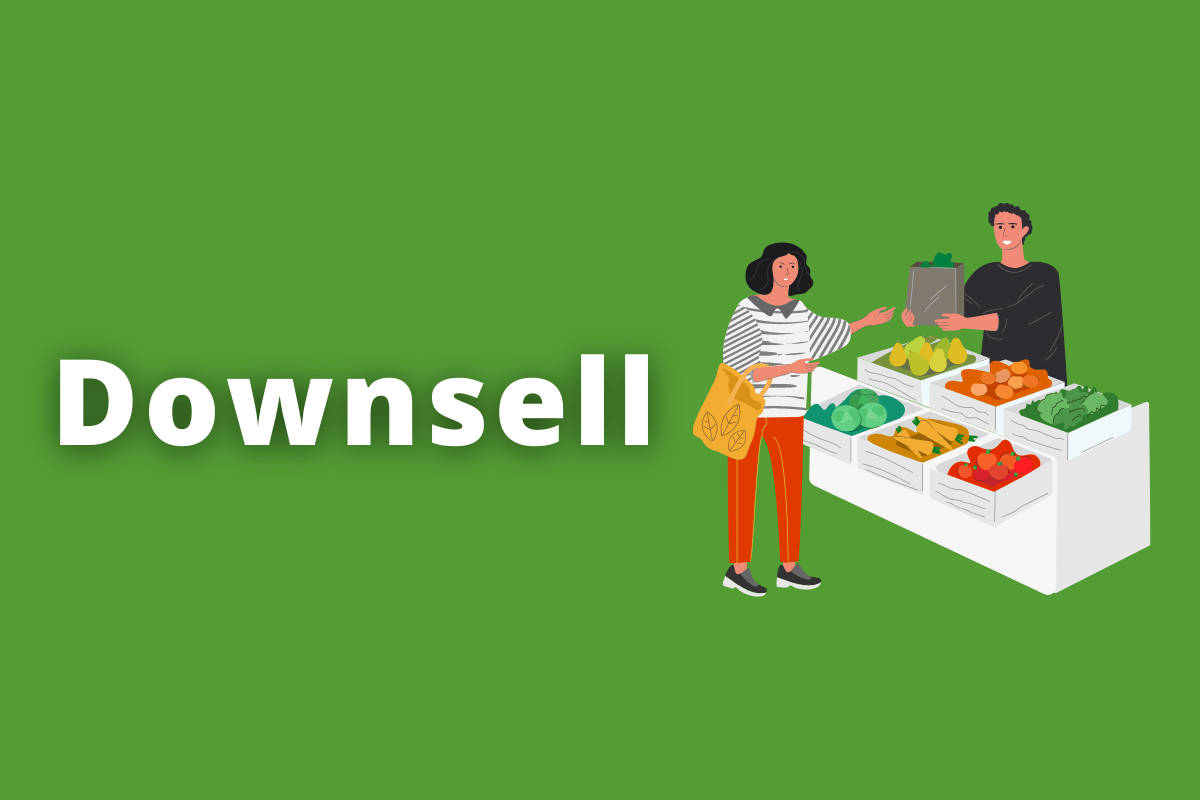 O que é downsell e como funciona essa estratégia?