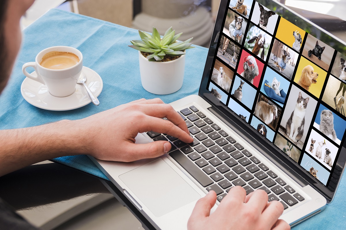 Melhores sites com imagens gratuitas para baixar