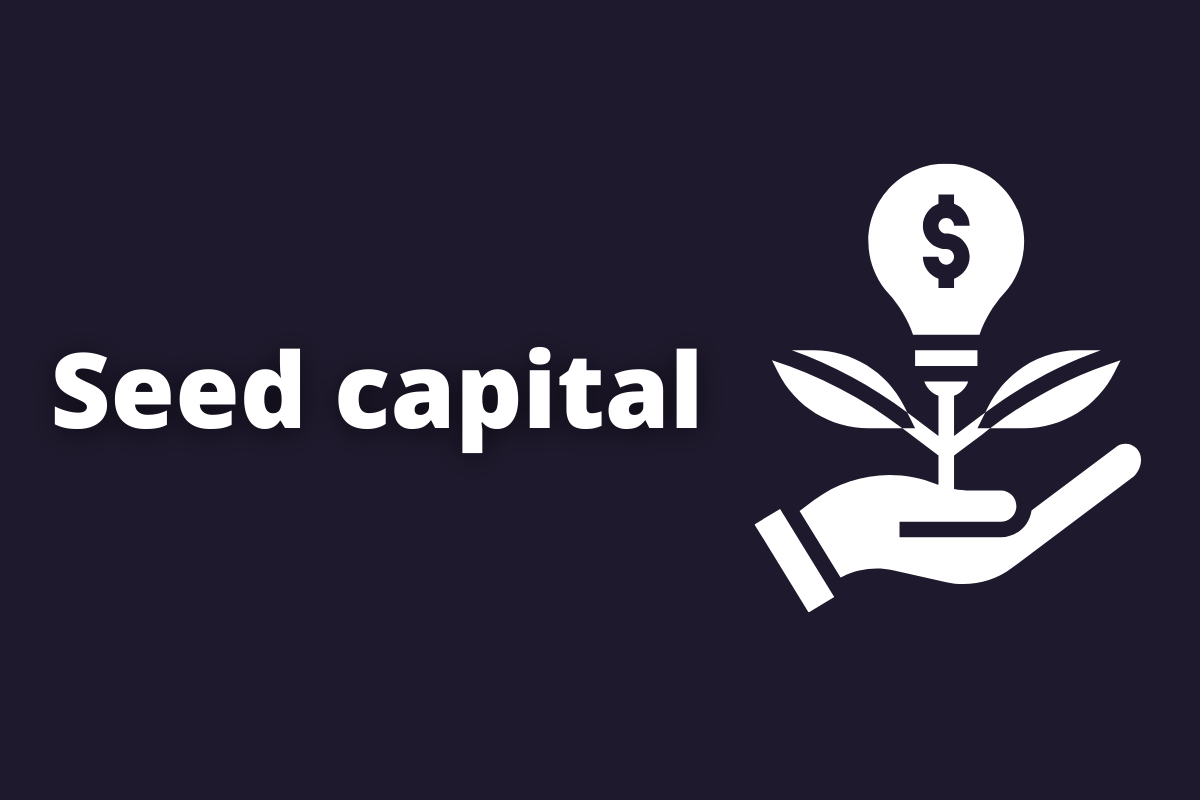 Guia completo sobre seed capital