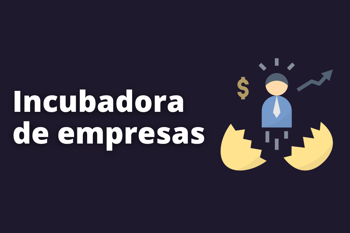 Guia completo sobre incubadora de empresas