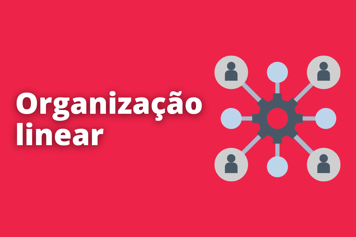 Vale a pena aplicar a organização linear nas empresas?